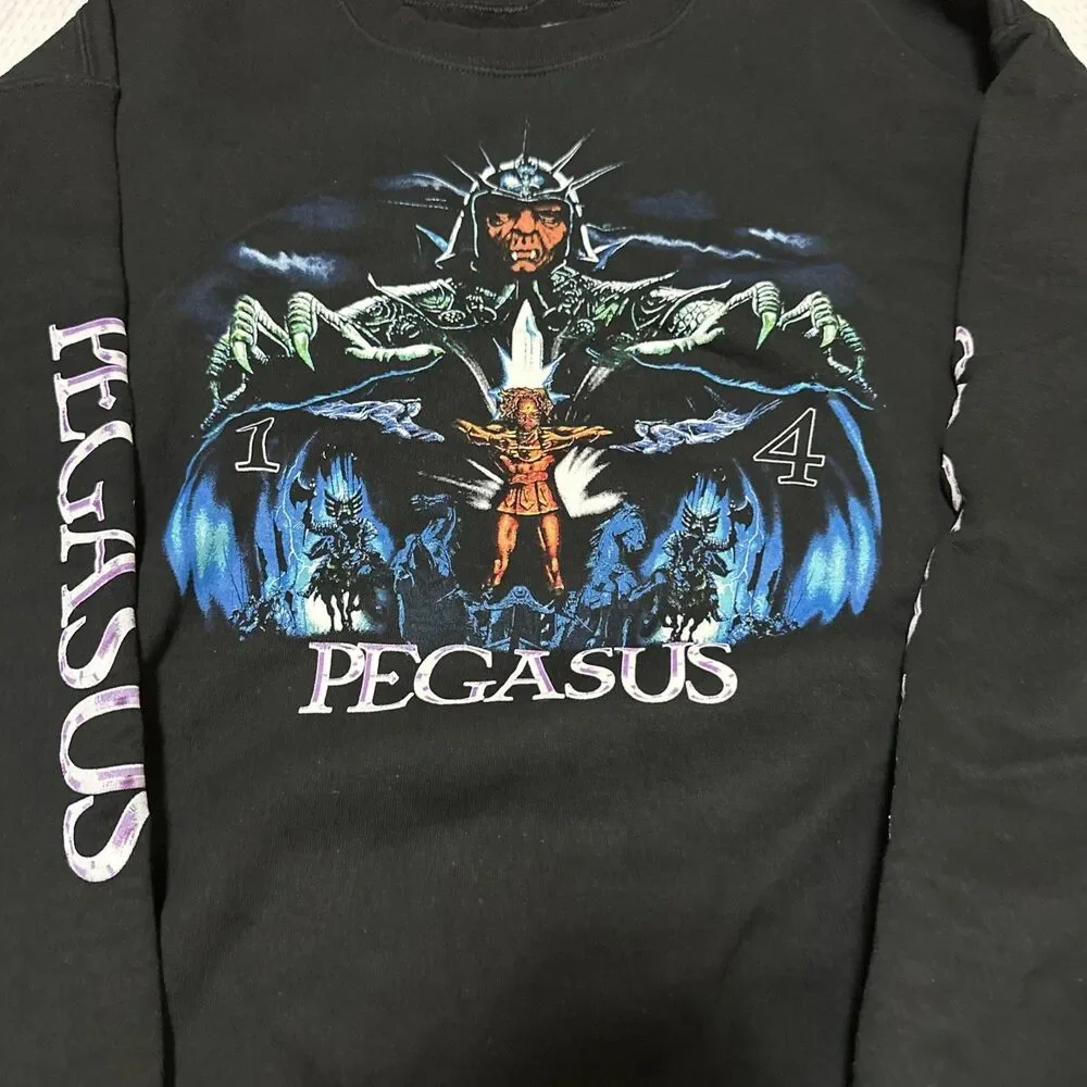Pegasus 14 Large Black Sweater Men’s